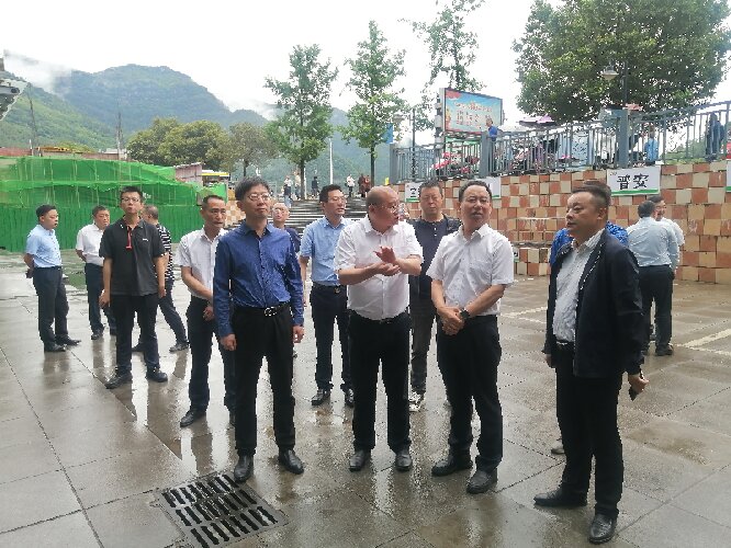 图片1_proc.jpg